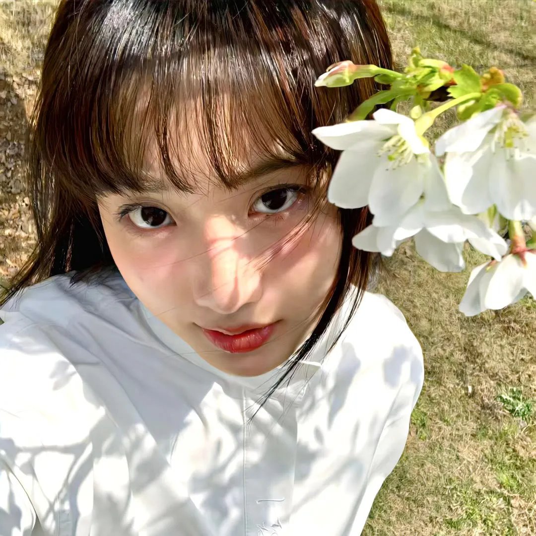 百战狂狮