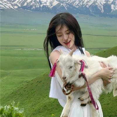 反叛的鲁路修 夺还的罗赛